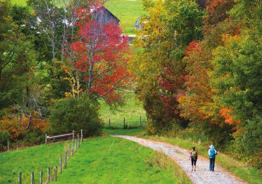 Two guests walking down autumnal road, towards wooden building.