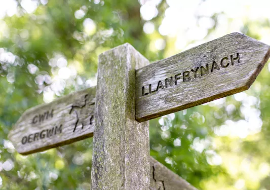 Sign Llanfrynach Wales