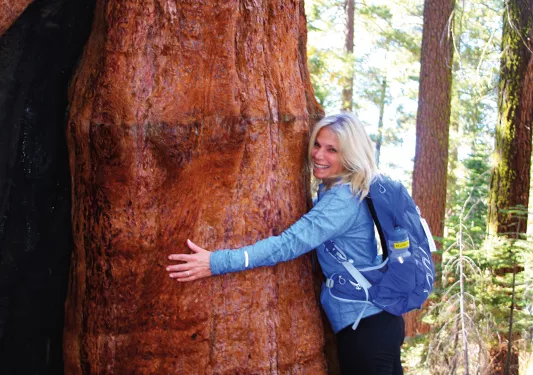 Guest hugging a large redwood tree.