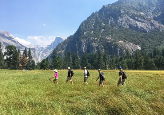 Guests hiking through grassy field, mountains in background.