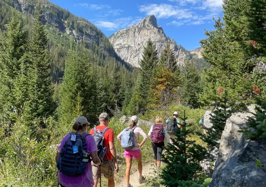 Backroads guests hiking through mountain pass and green landscape