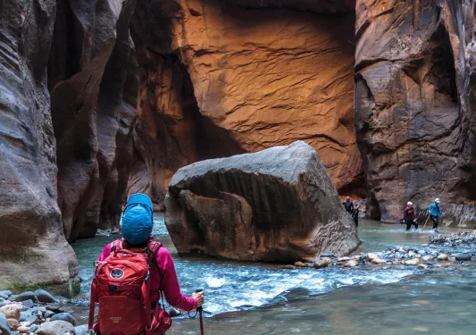 Guest in stream of canyon in Zion + Bryce