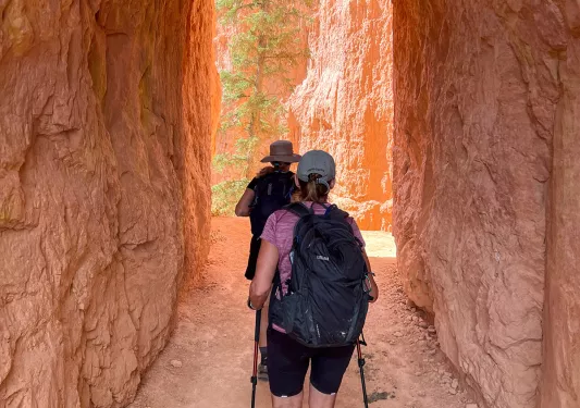 Guests walking through rock archway