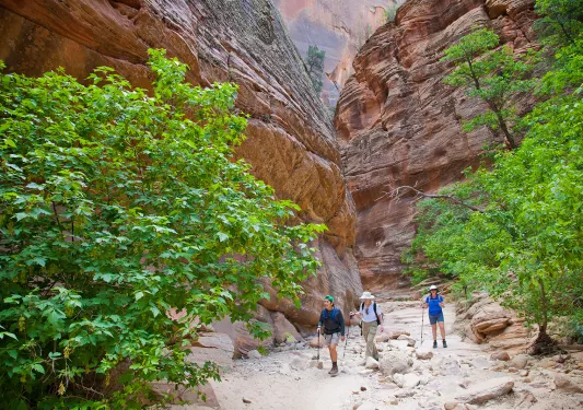 Guests walking through slot canyon