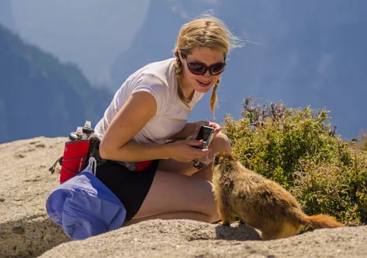 Hiker meeting a groundhog.