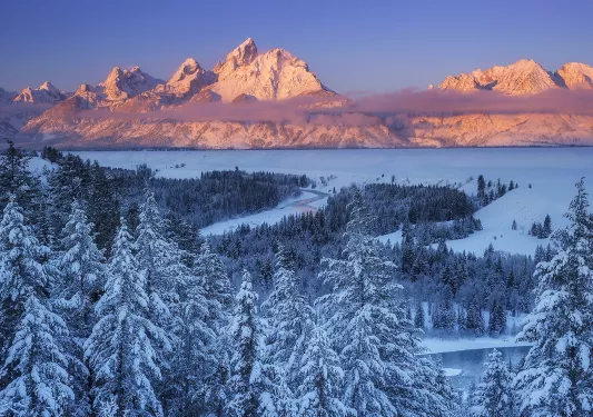 Snowy landscape with snow covered trees and orange sunset