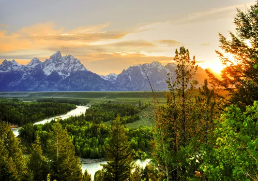 Vibrant green trees and picturesque mountains