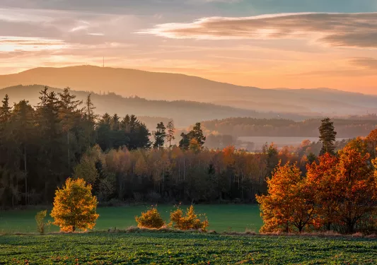 Nice sunset with hill Klet and trees, Czech republic