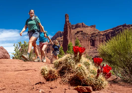 Group of women hiking through a desert, with cacti on the ground and tall canyons in the background
