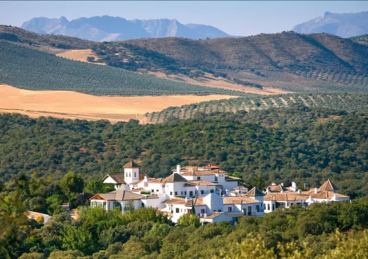 expansive view of hotel surrounded by trees