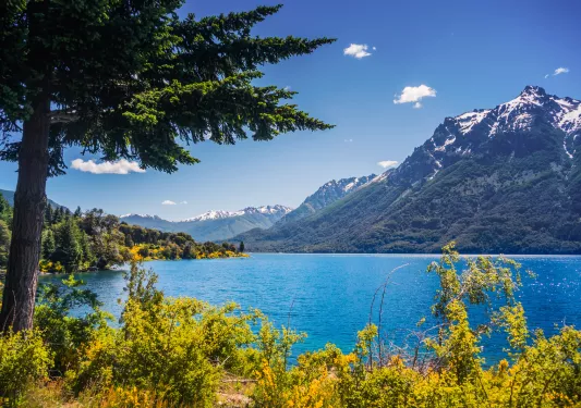 Large, blue lake surrounded by trees and a tall mountain