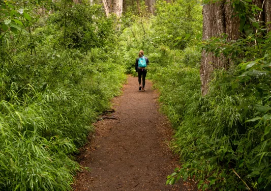 Woman walking on a dirt trail in a forest