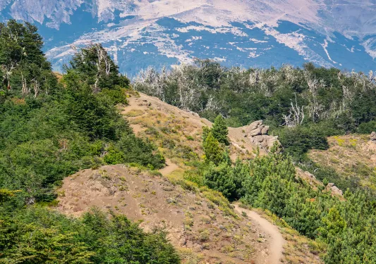 Large valley of dirt and trees on top of a hill