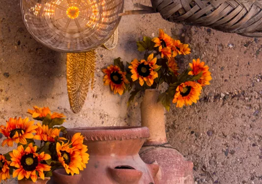Corner with clay pots filled with flowers and plants
