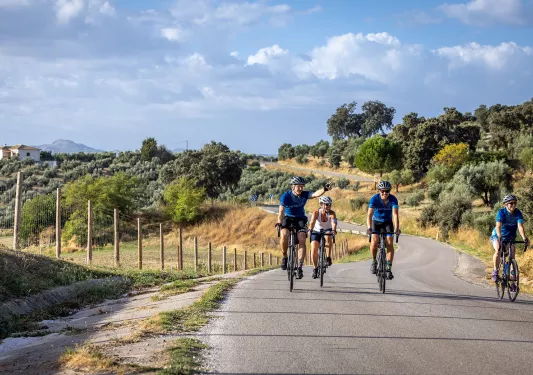 Four bikers on a road with trees behind them