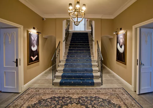 Carpet-lined staircase in hotel