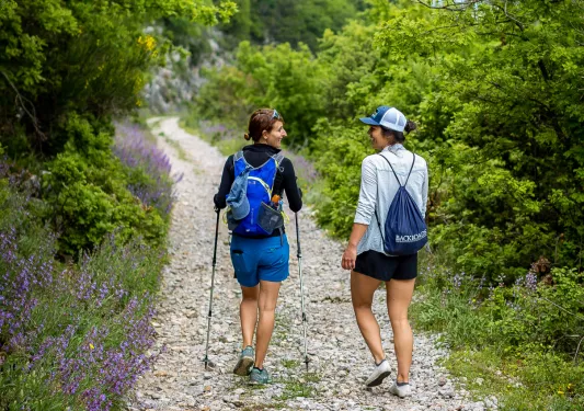 Two hikers walking down a tree lined path