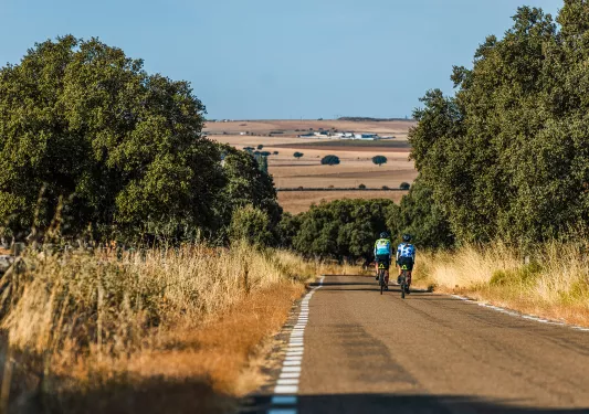 Two people biking on an asphalt road with an open valley in the distance
