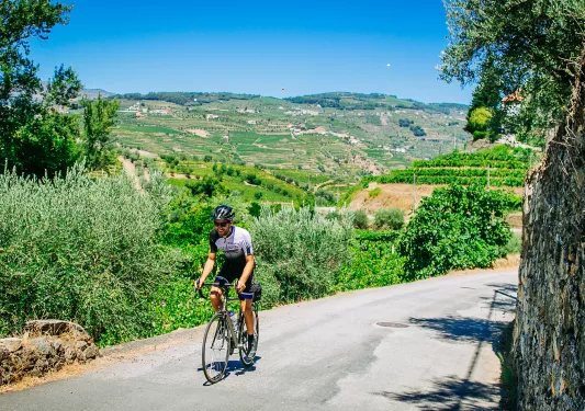 Man riding bike on a road with crops in the distance