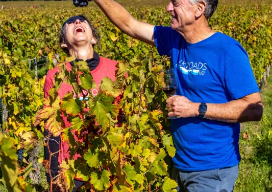 man feeding woman grapes