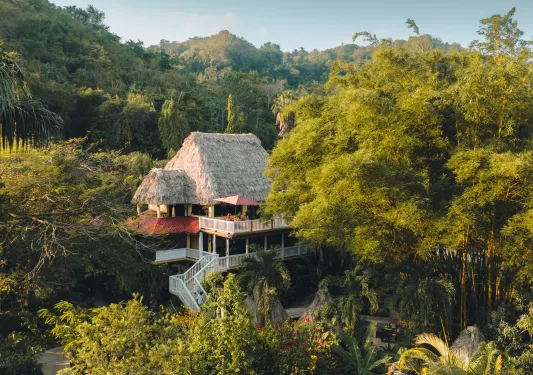 cottage with thatched roof nestled in the trees