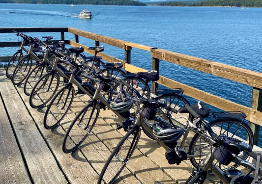 Bikes lined up on a wooden dock by the ocean