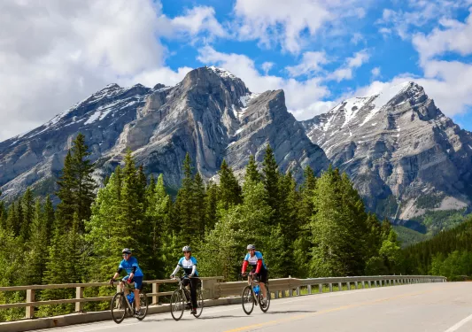 Three people riding bikes on an asphalt road, with tall pine trees and snowy mountains in the background