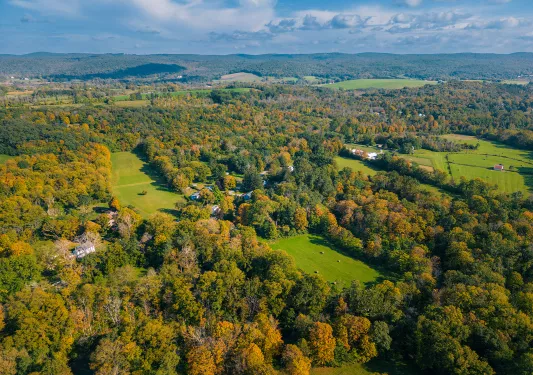 Open valley with large trees and patches of green grass