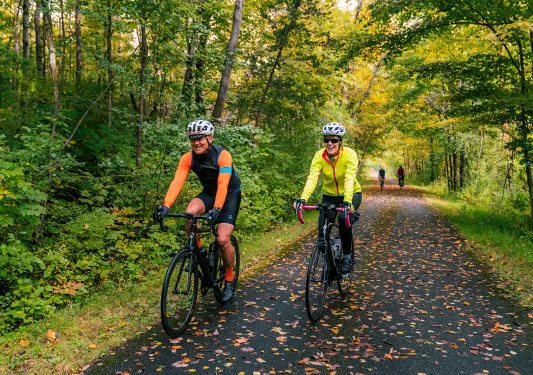 Two bikers biking down a tree lined road