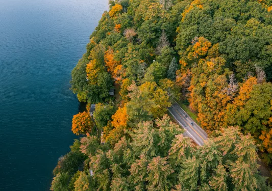 Aerial shot of leaves changing on trees