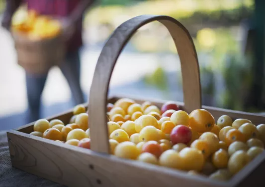 Wooden basket full of yellow fruits