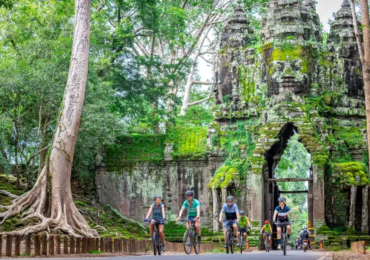 cyclists ride under a mossy stone bridge