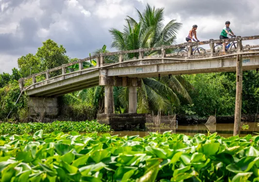 a bridge over a farm