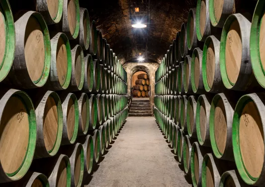 Cellar full of green barrels and a long hallway