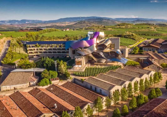 Sky view of rows of long buildings with a complex, artistic building in the center of a grass valley