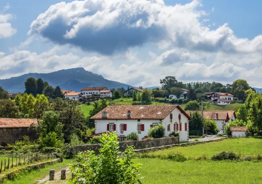 Small town in a rustic town, surrounded by trees and grass