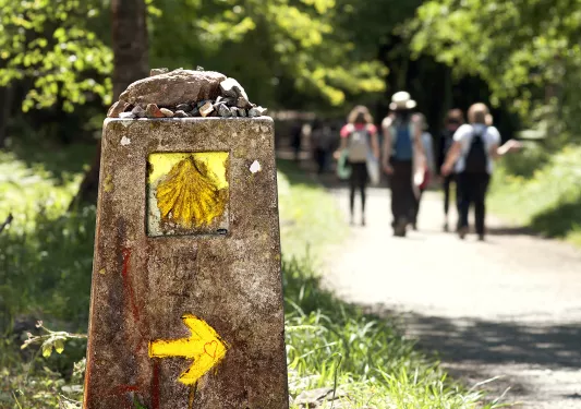 Sign for the camino