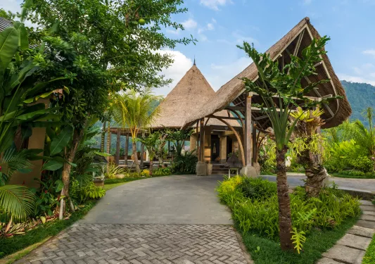 cottage with thatched roof nestled in the trees
