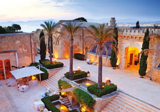 palm trees on a large patio