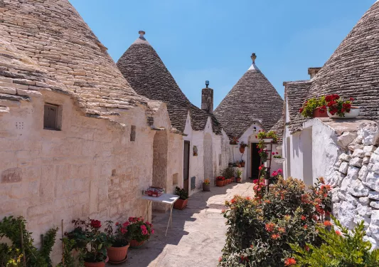 White, brick buildings with a small pathway