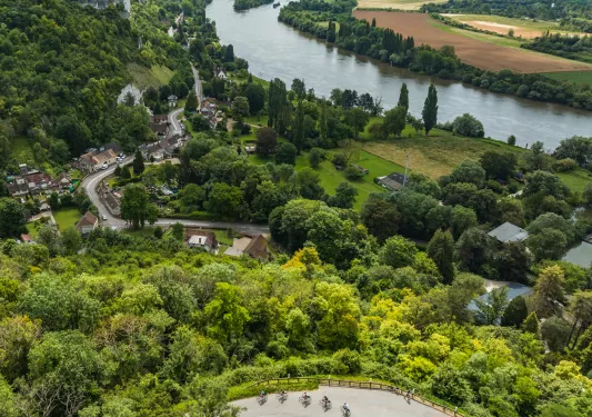 greenery next to river