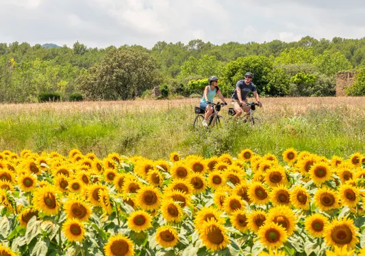 Man and woman biking in a open valley, surrounded by tall weeds and sunflowers