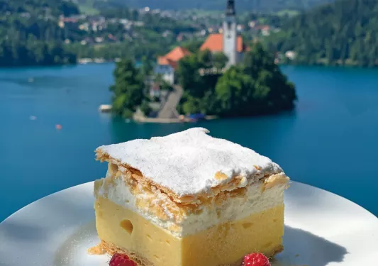 Cake and berries on a plate with a view