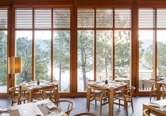 Wooden chairs and dining tables with large windows looking out to tall trees