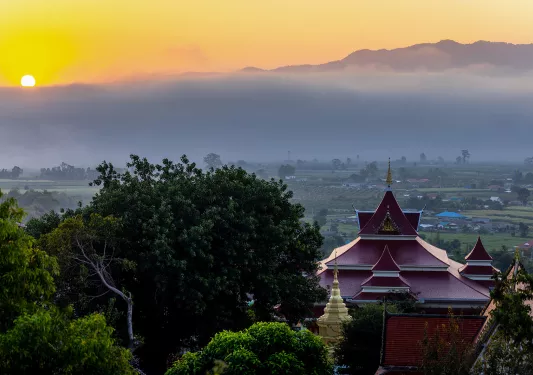 Sky view of a temple surrounded by trees