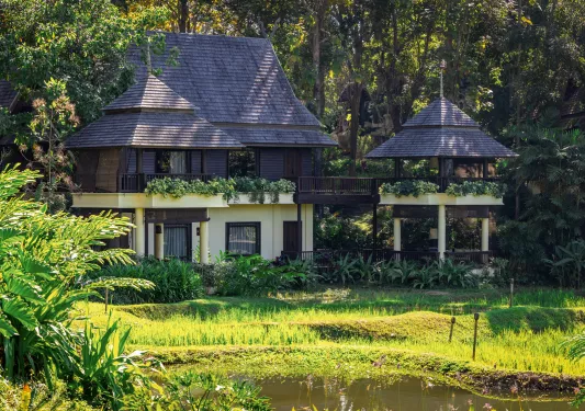small homes surrounded by green grass