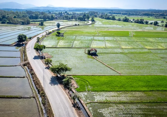 Aerial shot of farmland