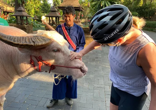 Woman in bike helmet petting animal