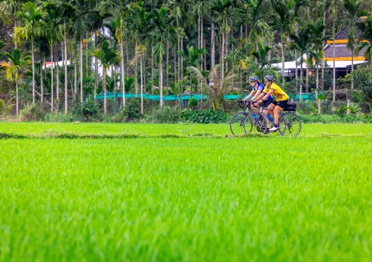 Bikers ride through a green field