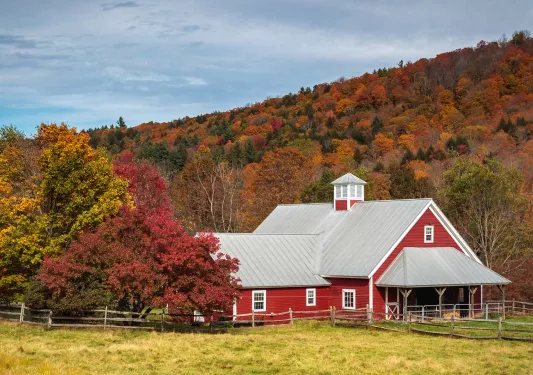 Red cabin-style building with a white roof in the middle of a valley of orange trees